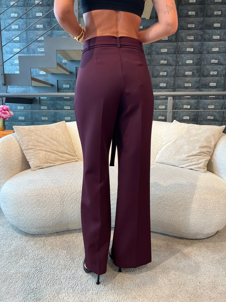 PANTA LUMINA VINO